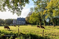 Burg in den Niederlanden besuchen