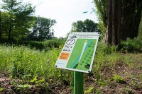 Golf die Niederlande