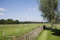 Gruppenunterkunft in Naturgebiet die Niederlande